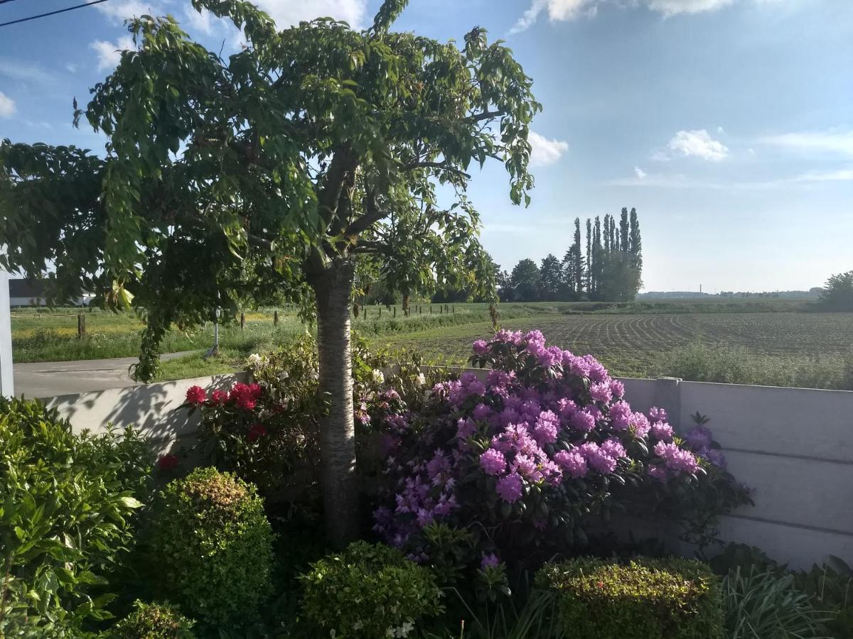 Dhofstede Vakantiewoning Ауденарде Экстерьер фото
